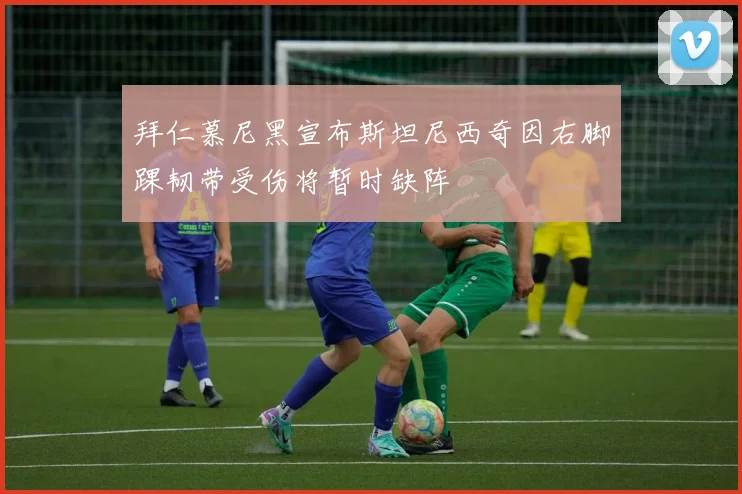 拜仁慕尼黑宣布斯坦尼西奇因右脚踝韧带受伤将暂时缺阵