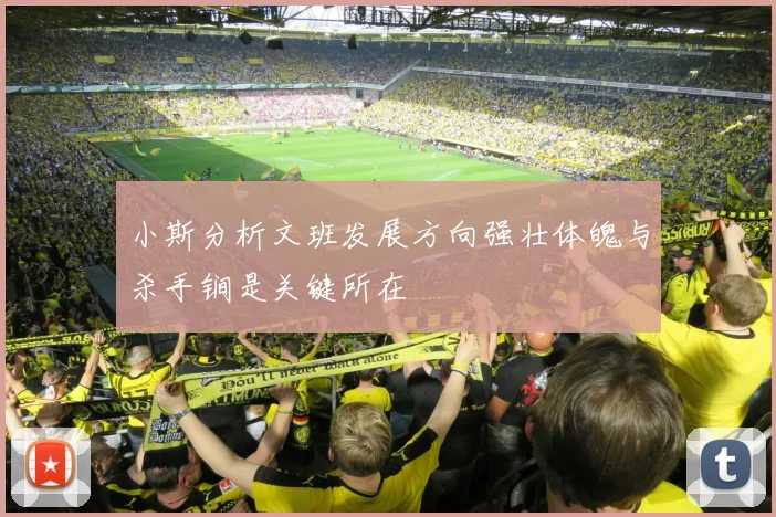 小斯分析文班发展方向强壮体魄与杀手锏是关键所在
