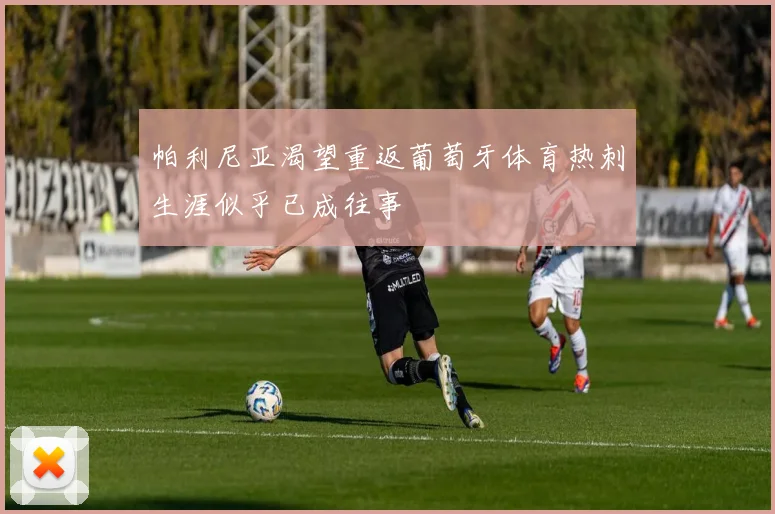 帕利尼亚渴望重返葡萄牙体育热刺生涯似乎已成往事
